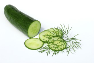 Snake cucumber and Dill (Anethum graveolens) cucumber, cucumber herb