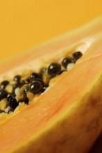 Pawpaw (Carica papaya) seeds, tree melon, papaya treewaxes, Caricaceae