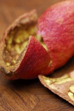 Pomegranate (Punica granatum) dried peel