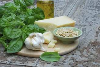 Ingredients for basil pesto, basil, parmesan, olive oil, pine nuts, garlic, parmesan cheese, basil