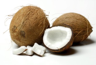 Coconuts (Cocos nucifera) , Coconut