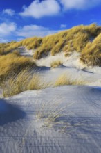 Sanddüne, Düne Island, Helgoland, Germany, Europe