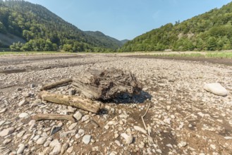 Water level drops in mountain lake in summer. Wildenstein, Vosges, Alsace, France, Europe