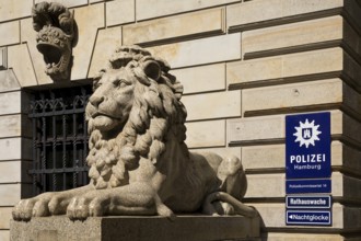 Lion sculpture and sign of the Hamburg Police City Hall Guard, City Hall, Hamburg, Germany, Europe