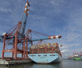 Container terminals Eurogate and Burchardkai, Photomerge, Waltershof, Hamburg, Germany, Europe