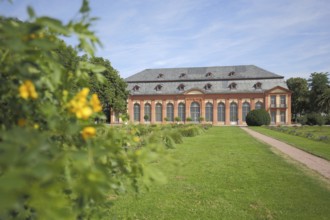 Orangery with ornamental plants, flowers in Darmstadt, Bergstrasse, Hesse, Germany, Europe