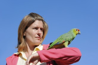 Woman with ecuador amazon (Amazona autumnalis lilacina), France, Europe