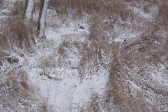 First snow in the Eastern Ore Mountains too