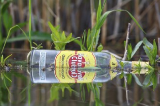 Environmental waste in the water, glass bottle in nature, Peene Valley River Landscape nature park