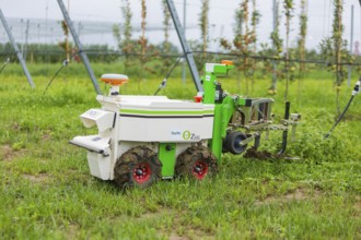 SMEKUL workshop, fruit and wine growing: Field day, robotics solutions for fruit and wine growing,