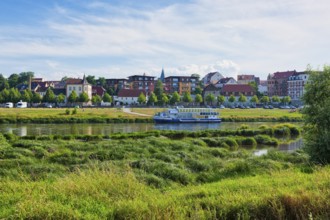 Elbe meadows in Riesa