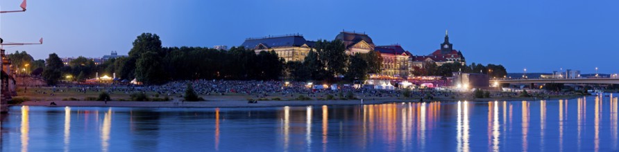 Film nights on the banks of the Elbe