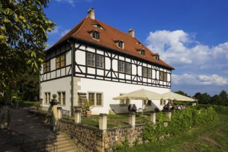 Open Winery Day in Saxony