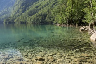 Obersee, above the Königssee, view down to the lake bottom, Schönau, Königssee, Berchtesgaden