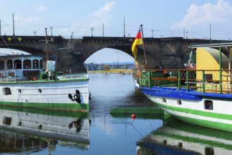 Low water in the Elbe in Dresden