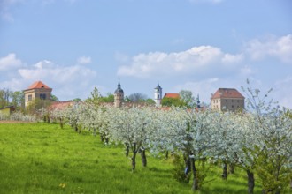 Gamig estate near Dresden