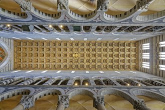 Romanesque nave with Renaissance coffered ceiling, Cathedral, Cattedrale Metropolitana Primaziale