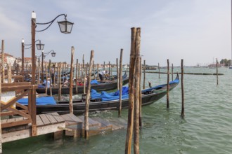 Gondolas in front of the Piazzetta on the lagoon at St Mark's Square, Venice, Veneto, Italy, Europe