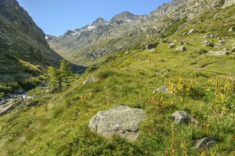 The Grand Etret Valley in the Grand Paradis National Park. pont, Aoste, Italy, Europe