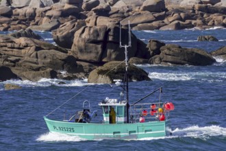 Typical fishing boat from Brittany called caseyeur, fileyeur sailing along the Côte de granit rose,