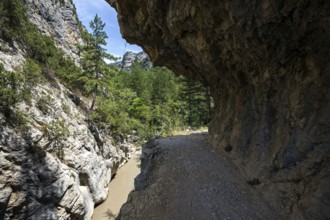 Hiking trail in the gorge of Trevans, Gorges de Trévans, river L Estoublaisse, near Estoublon,