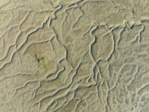 Network of dry channels and streams at low tide, in the marshland of the Bahía de Cádiz, aerial