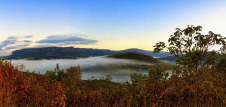 Early morning fog over valleys and mountains, Serra da Canastra, Minas Gerais state, Brazil, South