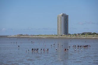 People on the mudflats, high-rise building, Büsum, Schleswig-Holstein, Germany, Europe