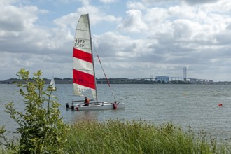 Sailing boats, Rügen Bridge, Altefähr, Rügen Island, Mecklenburg-Western Pomerania, Germany, Europe