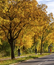 Autumn time, federal road B 96 to Schildow, Berlin, Germany, Europe