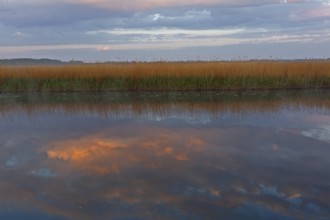 Sunset with cloud formation and reflection in the water on the river Trebel, reeds, Peene Valley