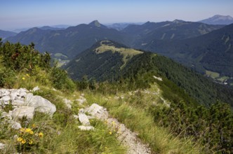 Mountain landscape, hiking trail to Regenspitz with view to Feichtensteinalm, Hintersee,