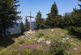 Summit cross on Feichtenstein, Hintersee, Osterhorn Group, Salzkammergut, Land Salzburg, Austria,