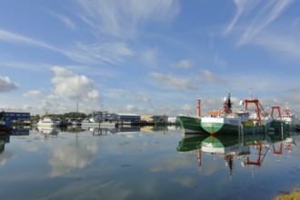 Harbour with fishing boats, Lauwersoog, Lauwersmeer National Park, Holland, Netherlands