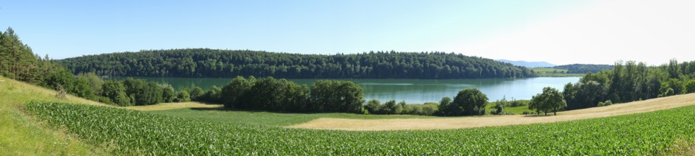 Mindelsee, nature reserve, Radolfzell, Lake Constance, Baden-Württemberg, Germany, Europe