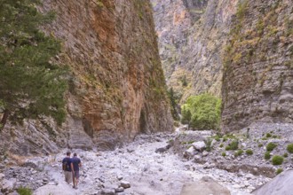 Narrow, hiking trail, two hikers from behind, Samaria Gorge, Samaria, gorge, national park, Omalos,