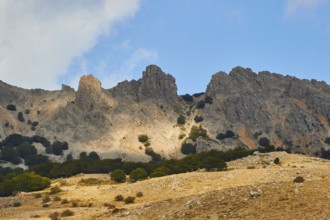 Bizarre mountain range, light and shade, trees, bare mountainside, Madonie National Park, autumn,