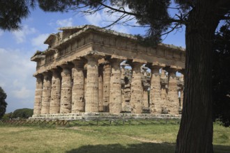 Temple of Poseidon, 2nd Temple of Hera, in Paestum, Campania, Italy, Europe