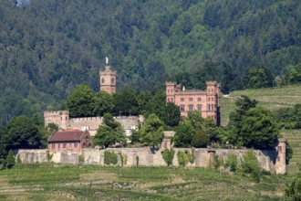 Ortenberg Castle, Ortenberg, Kinzigtal, Ortenau District, Black Forest, Baden-Württemberg, Germany,