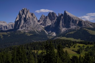 Langkofel and Plattkofel mountains, Alpe di Siusi, South Tyrol, Italy, Europe