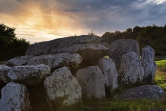 Menhirs near Carnac, megalithic culture, sunset, backlight, Brittany, France, Europe