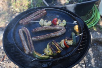 Sausages and vegetable skewers in a grill pan, Bavaria, Germany, Europe