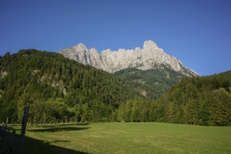 View from Griesenau to the Wilder Kaiser with Maukspitze (left) and Lärchegg (right)