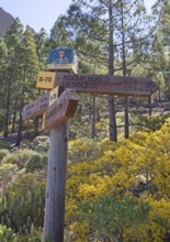 Signpost in the Parque Rural del Nublo, Roque Nublo at the back, Las Palmas Province, Gran Canaria,