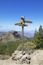 Signpost in Parque Rural del Nublo, Las Palmas Province, Gran Canaria, Canary Islands, Spain,