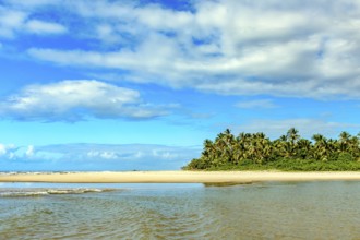 Beautiful Sargi beach with its coconut trees in the city of Serra Grande on the coast of Bahia