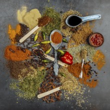 Spices, aniseed (Pimpinella anisum), black pepper (Piper nigrum), paprika (Capsicum), common thyme