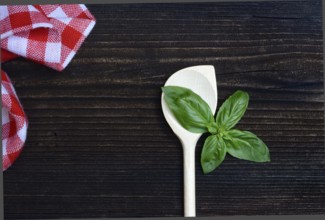 Cooking spoon and basil (Ocimum basilicum)