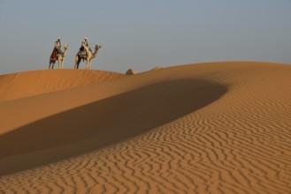 Men on camels in the dunes of Meroe, Black Pharaohs, Nubia, River Nile, Sudan, Africa