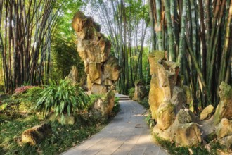 Path in bamboo forest brove in Wangjiang Pavilion (Wangjiang Tower) Wangjianglou Park. Chengdu,